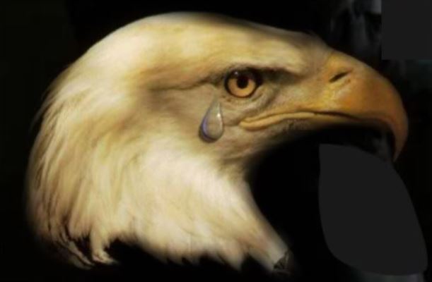Eagle Crying