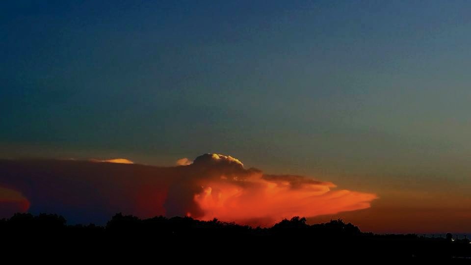 11403482_10206511947775451_6927342666903943814_n